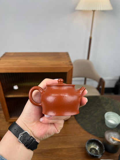 Jing Guan Textured Zhu Ni Teapot - view 7