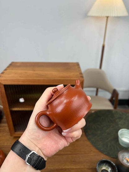 Jing Guan Textured Zhu Ni Teapot