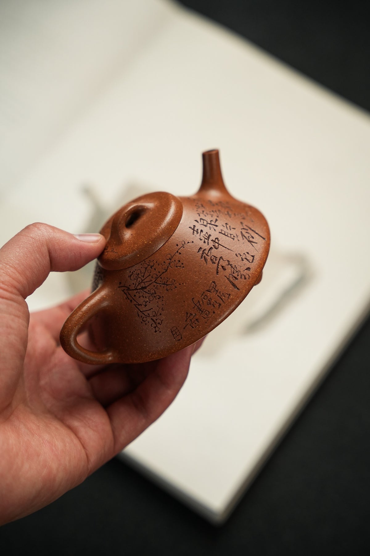 He Piao Qing Gong Jiang Po Ni Teapot – 150ml - view 5
