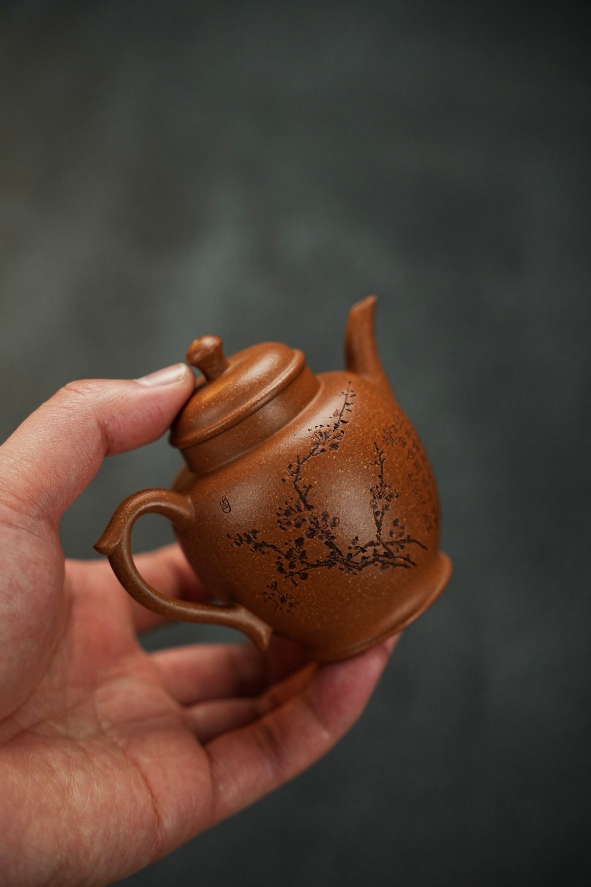 Zi Zai Plum Blossom Jiang Po Ni Teapot – 150ml - view 7