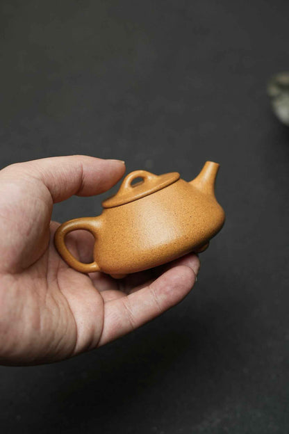 Xiao Shi Piao Golden Duan Ni Teapot – 95ml