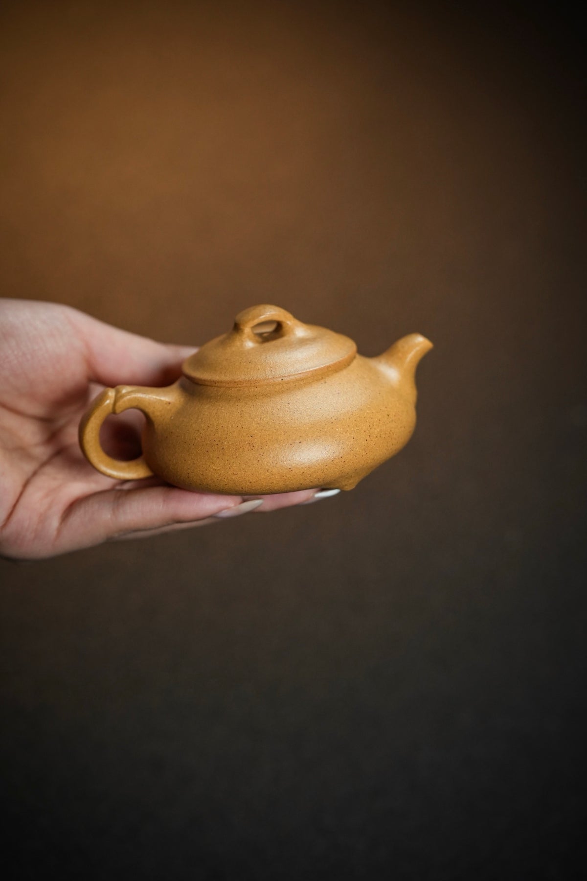 Jian Piao Golden Duan Ni Teapot – 100ml - view 2