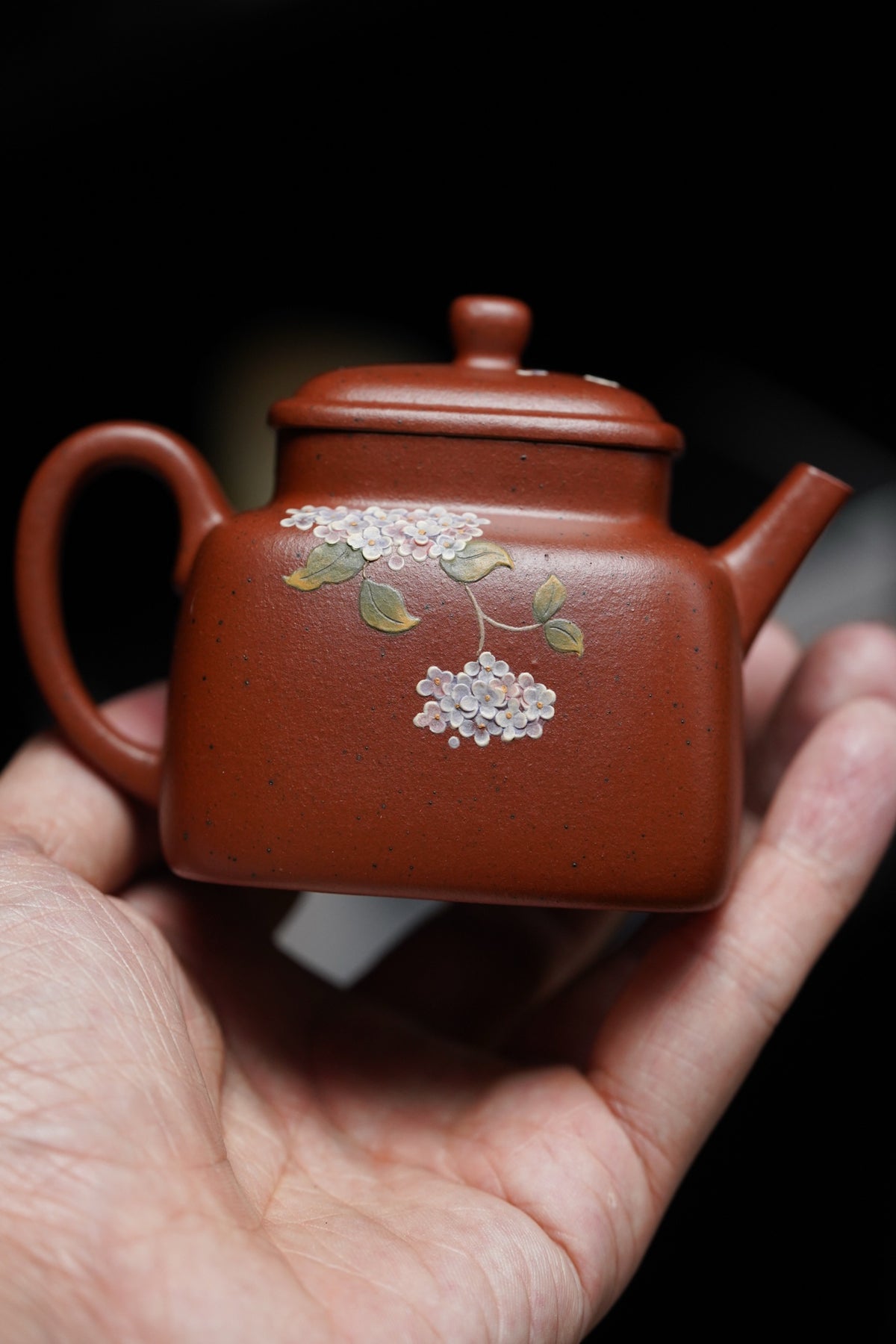 Si Fang Yan Xin Painted Zhu Ni Teapot – 160ml - view 5