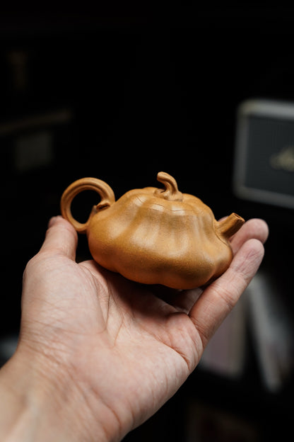Yong Li Pumpkin Duan Ni Teapot – 135ml - view 6
