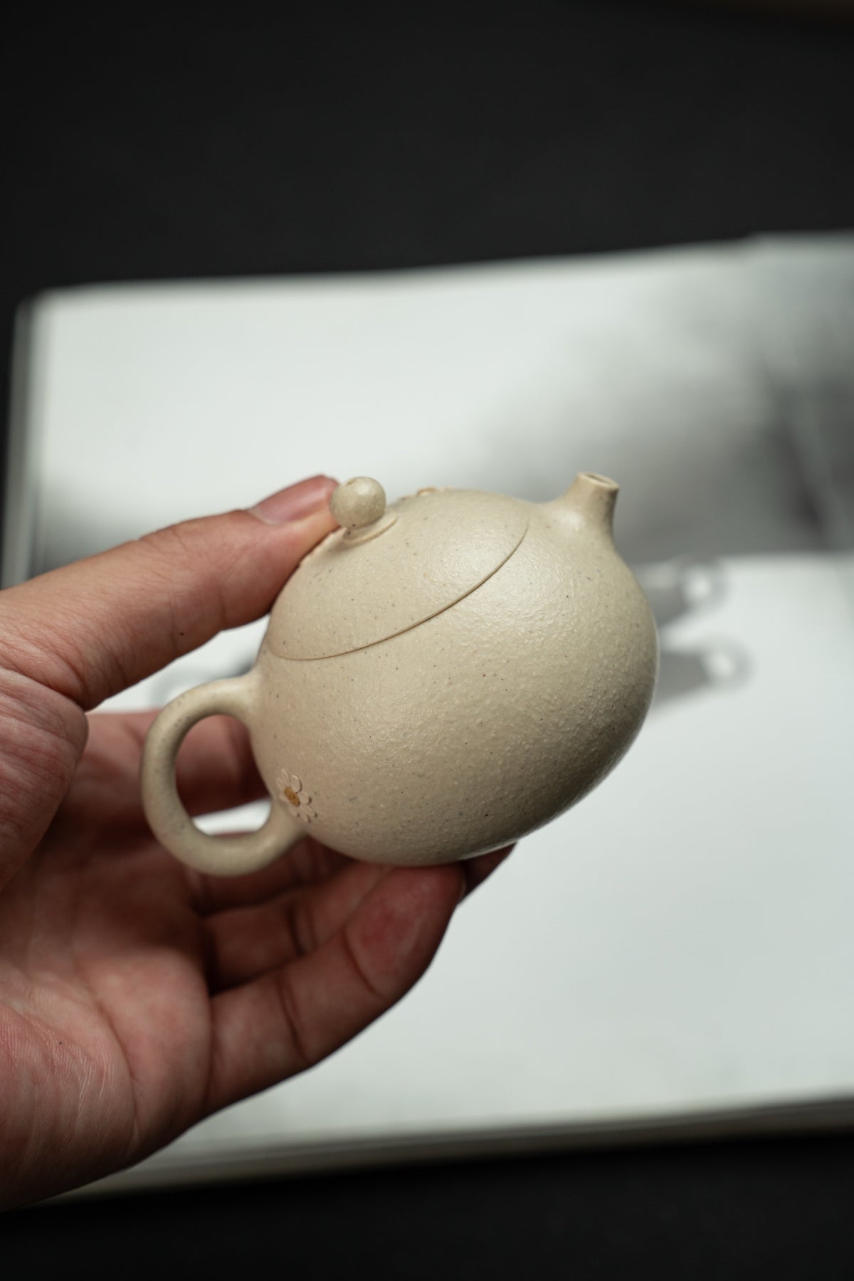 Daisy Xi Shi White Duan Ni Teapot – 100ml - view 7