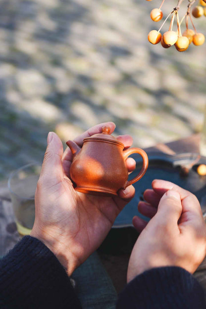 Mini Pan Hu Yixing Teapot, Jiang Po Ni, 60ml