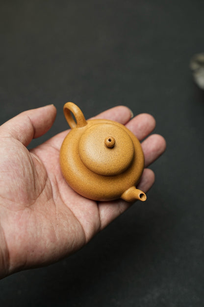 Small Pear-Shaped Yixing Teapot, Huang Jin Duan, 120ml - view 8
