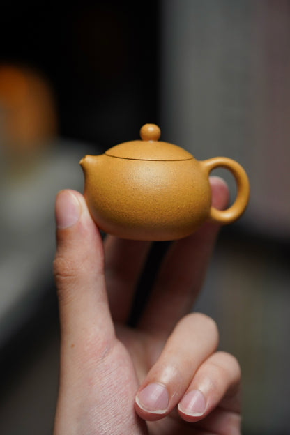 Mini Xi Shi Teapot, 35ml - view 5