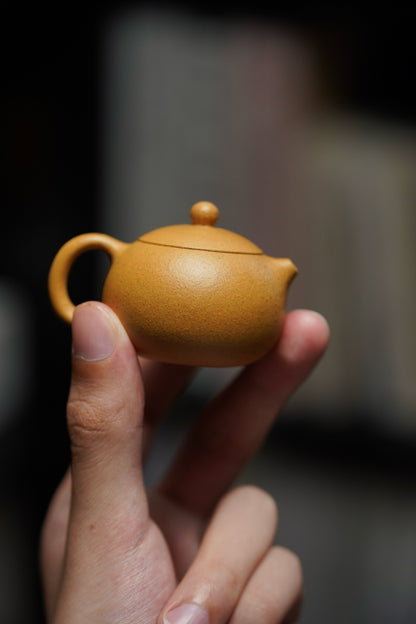 Mini Xi Shi Teapot, 35ml - view 6