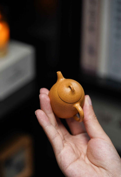 Mini Qin Quan Teapot, Huang Jin Duan Ni, 35ml