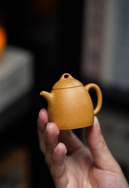 Mini Qin Quan Teapot, Huang Jin Duan Ni, 35ml - view 6