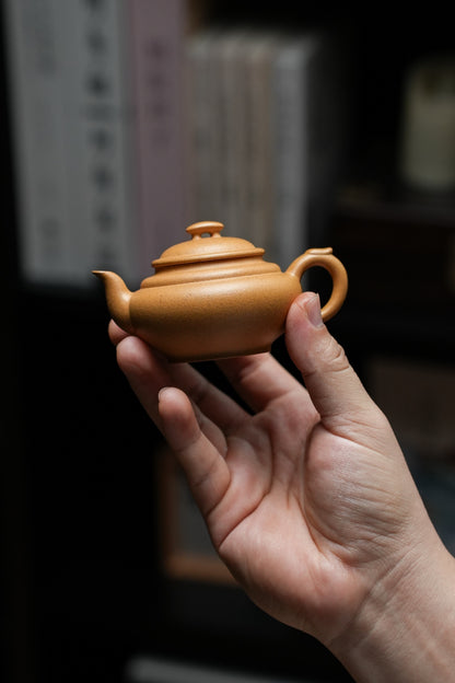 Xiao Shang Xin Qiao Teapot, 80ml - view 6