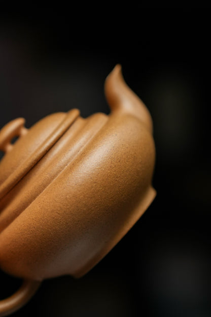 Xiao Shang Xin Qiao Teapot, 80ml - view 8