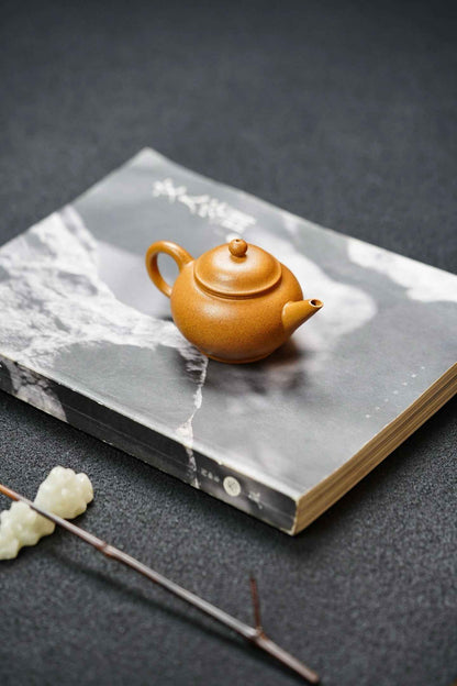 Mini Shui Ping Teapot, Huang Jin Duan Ni, 90ml