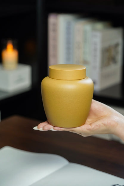 Jing He Chang Le Tea Storage Jar, Huang Jin Duan Ni - view 9